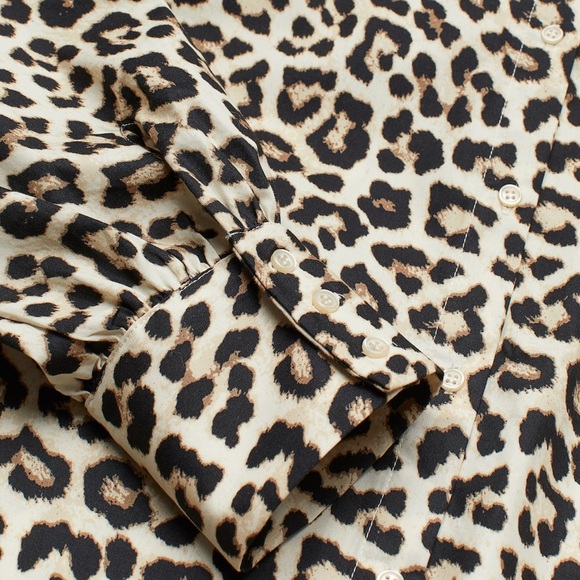 Leopard Print Collared Blouse - Picture 2 of 11